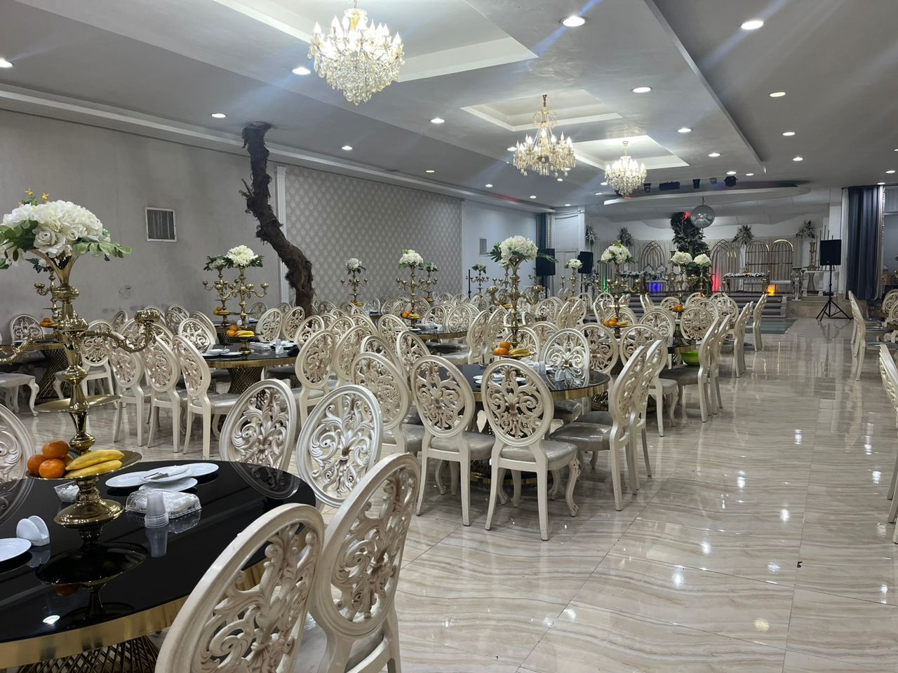 نمای داخلی باغ تالار